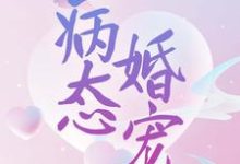 病态婚宠小说全文阅读需要付费吗？寻找免费资源-艾米文学