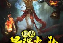 地表最强光头章节免费在线阅读,叶飞陈青舒完结版-艾米文学