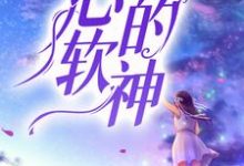 心软的神小说阅读,心软的神完结版-艾米文学