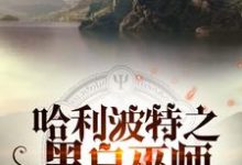 完整版的哈利波特之黑白巫师小说在哪里可以免费读到？-艾米文学