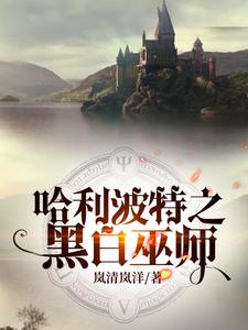 完整版的哈利波特之黑白巫师小说在哪里可以免费读到？