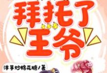 《拜托了，王爷》小说章节列表免费试读，[标签:作者]小说在线阅读-艾米文学