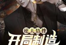 《逆天悟性,开局制造可控核聚变》小说章节列表免费试读,陈江小说在线阅读-艾米文学