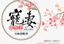 重生之宠妻最新章节，重生之宠妻章节在线阅读-艾米文学