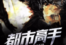 在线寻找都市高手小说的无删减版本-艾米文学