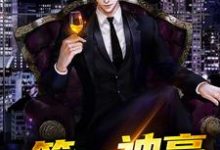 王言小说《第一神豪》在线阅读-艾米文学