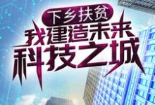 下乡扶贫，我建造未来科技之城小说，下乡扶贫，我建造未来科技之城免费阅读-艾米文学