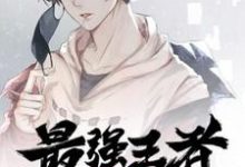 李枭云韵小说在线章节免费阅读（最强王者闯都市无弹窗无删减）-艾米文学