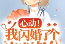 心动！我闪婚了个忠犬老公小说有没有完结版在线？-艾米文学