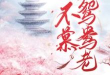 主角叫伊宝儿夜宸小说不羡鸳鸯老章节免费阅读-艾米文学
