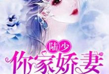 完结版《陆少，你家娇妻要黑化》章节阅读-艾米文学