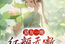 猪友一堆,红颜无数,这叫年少有为裴双郑子林,猪友一堆,红颜无数,这叫年少有为在线无弹窗阅读-艾米文学