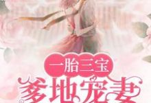 完结版《一胎三宝，爹地宠妻超给力》章节目录在线阅读-艾米文学