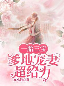 完结版《一胎三宝，爹地宠妻超给力》章节目录在线阅读