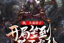 秦尊小说在线章节免费阅读（我，大秦帝子，开局签到苍天霸体无弹窗无删减）-艾米文学