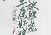 乔灵儿赤烈尧的故事在哪本书里？免费阅读抢来的草原新娘放肆宠-艾米文学