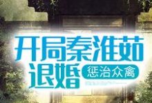开局秦淮茹退婚,惩治众禽杨松陈雪如,开局秦淮茹退婚,惩治众禽小说免费阅读-艾米文学