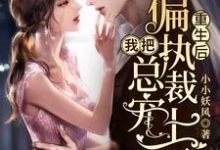 重生后,我把偏执总裁宠上天免费阅读,重生后,我把偏执总裁宠上天章节目录-艾米文学