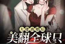 大佬离婚后美翻全球只想当咸鱼小说阅读，大佬离婚后美翻全球只想当咸鱼完结版-艾米文学