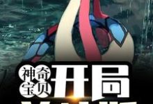 叶寻的故事在哪本书里？免费阅读神奇宝贝：开局美纳斯-艾米文学
