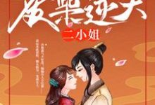 主角叫叶妖娆百里寒冰的小说在哪阅读-艾米文学