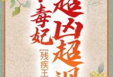 残疾王爷的小毒妃超凶超飒小说，残疾王爷的小毒妃超凶超飒 冷潇南宫翼天-艾米文学