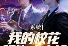 主角苏渊许安颜小说系统：我的校花舔狗太高冷免费阅读-艾米文学