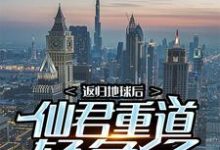返归地球后，仙君重道轻色了 叶麟白兰君小说大结局免费试读-艾米文学
