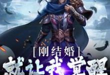 刚结婚，就让我觉醒最强天赋？小说全文哪里可以免费看？-艾米文学