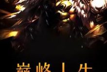 寻找能够免费阅读巅峰人生小说的平台-艾米文学