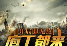 求开局即无敌，庖丁都来学剔骨小说免费资源-艾米文学