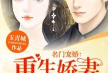 小说《名门宠婚：重生娇妻火辣辣》章节阅读-艾米文学