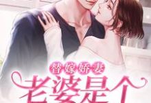 求替嫁娇妻：老婆是个隐藏大佬小说免费资源-艾米文学