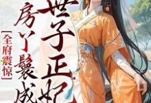 全府震惊，通房丫鬟成了世子正妃 乔晚傅清淮，全府震惊，通房丫鬟成了世子正妃小说免费阅读-艾米文学