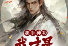 求起手神功:我才是一人之下小说的全文免费阅读链接-艾米文学