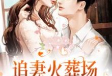 男女主人公叫楼藏月闻延舟的小说免费资源-艾米文学
