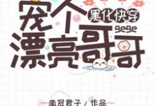 在线寻找黑化快穿：宠个漂亮哥哥小说的无删减版本-艾米文学