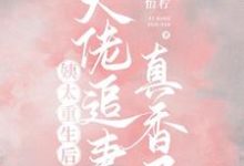 姨太重生后，大佬追妻真香了小说全文哪里可以免费看？-艾米文学