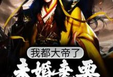 完结版《我都大帝了,未婚妻要和我退婚?》章节目录在线阅读-艾米文学