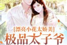 傅随黎染是哪本书的主角？寻找漂亮小花太娇美，极品太子爷被撩疯免费阅读-艾米文学