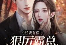 娇妻有喜！狠厉霸总他走下神坛（林谨秦厉）在线免费阅读-艾米文学