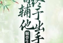 主角 凌绾绾赵怀羿小说媚骨生香:首辅他终于出手了免费阅读-艾米文学