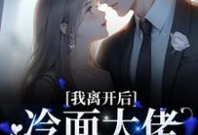 南浅陆北墨为主角的小说好看吗？求我离开后，冷面大佬红了眼眶免费试读-艾米文学