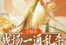 小妞在战场一通乱杀，只为混口饭？免费阅读，小妞在战场一通乱杀，只为混口饭？章节在线阅读-艾米文学
