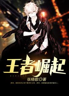 求王者崛起小说免费资源