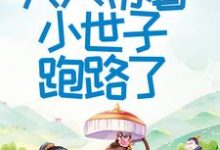 《首辅大人不好了！夫人带着小世子跑路了》小说大结局免费试读 程颂安崔元卿小说-艾米文学