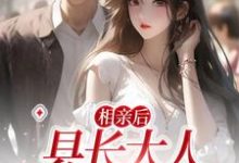 相亲后,县长大人他忍不住了小说阅读,相亲后,县长大人他忍不住了完结版-艾米文学