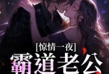 惊情一夜：霸道老公的逃妻小说的无弹窗阅读体验，寻找免费阅读网站-艾米文学