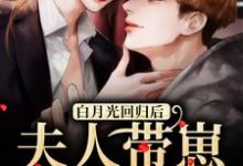 白月光回归后，夫人带崽要离婚温曦厉廷玺小说在线章节目录阅读最新章节-艾米文学
