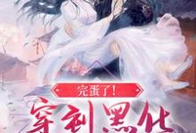 小说《完蛋了！穿到黑化反派的现场》章节阅读-艾米文学